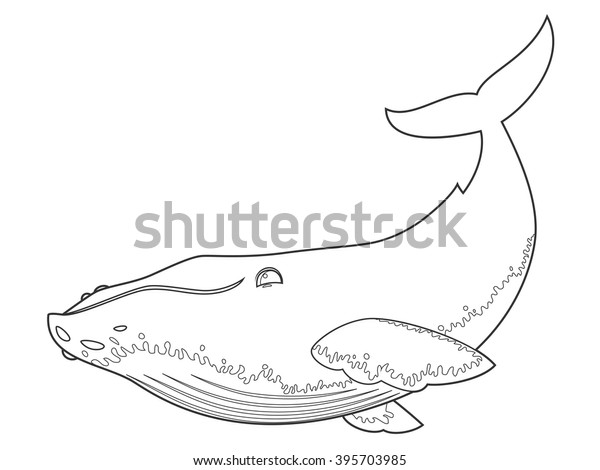 Vector Illustration Humpback Whale On White Stock Vector (Royalty Free