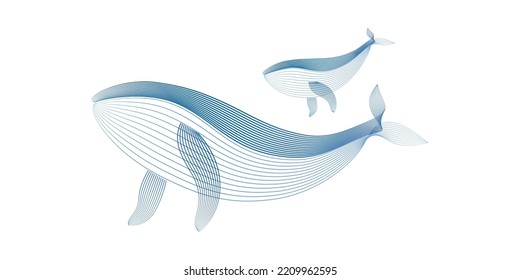 Vector illustration Humpback Whale parent and child by line art texture minimal style isolated on white background.