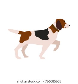 Vector illustration of hunter dog isolated on white background
