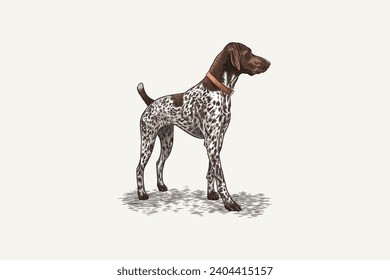 vector illustration of a hunting dog in vintage style