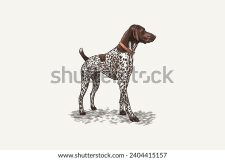 vector illustration of a hunting dog in vintage style