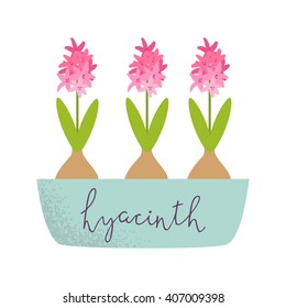 Vector illustration of hyacinth in cute retro flat cartoon style. Icon of plant in pot for design card, postcard, magazine, logo for shop, store, scrapbook