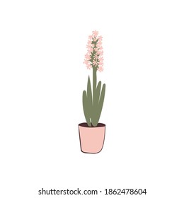 Vector illustration of Hyacinth in a pot. Doodles Isolated White Background Floral Elements Greeting Card Womens Day