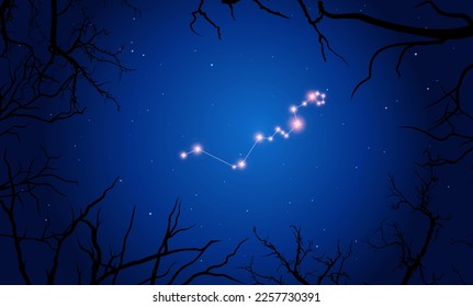 Vector illustration Hydra constellation. Tree branches, dark blue starry sky