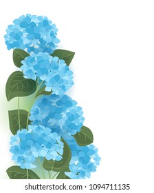 Vector illustration of hydrangea flower Background with blue flowers
