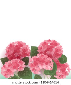 Vector illustration of hydrangea flower. Background with floral decorations