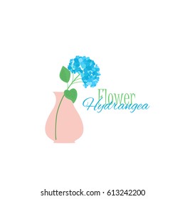 Vector illustration of hydrangea flower. Background with a vase of flower