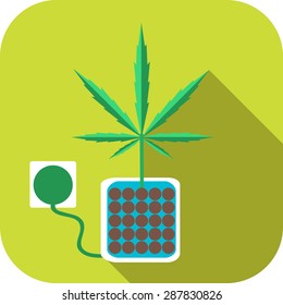 Vector illustration of hydroponics marijuana