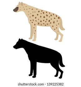 Vector illustration of hyena isolated on white