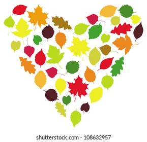 The vector illustration "I love leaves"