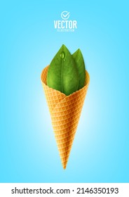 Vector illustration ice cream. Cone and leaf.