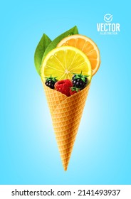 Vector illustration ice cream. Lemon, orange, blackberry and raspberry.