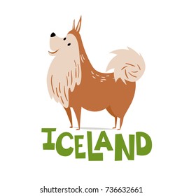 Vector illustration of Icelandic Dog.  Animals of Iceland set.