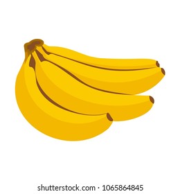 Vector illustration icon of a banana