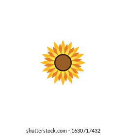 Vector illustration icon of beautiful sunflower with white background