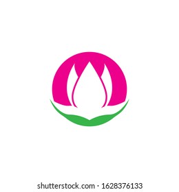 Vector illustration icon of beautiful tulips with white background