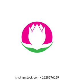 Vector illustration icon of beautiful tulips with white background