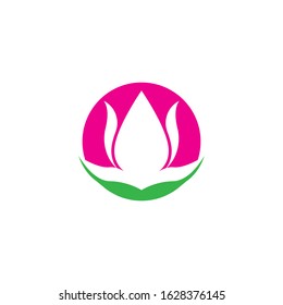 Vector illustration icon of beautiful tulips with white background