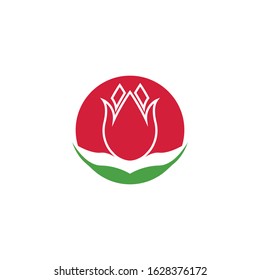 Vector illustration icon of beautiful tulips with white background