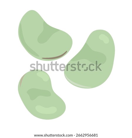 Vector illustration icon of broad beans. Transparent background material.Seasoning series.