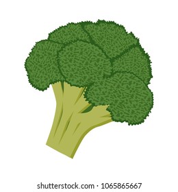 Vector illustration icon of a broccoli