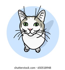 Vector illustration icon of cat in cartoon style