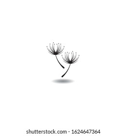Vector illustration icon of Dandelion with white background