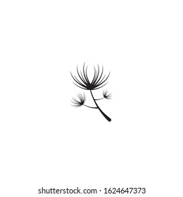 Vector illustration icon of Dandelion with white background