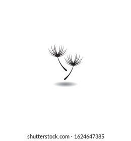 Vector illustration icon of Dandelion with white background