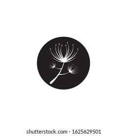 Vector illustration icon of Dandelion with white background