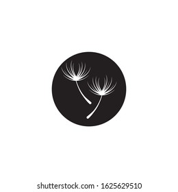 Vector illustration icon of Dandelion with white background