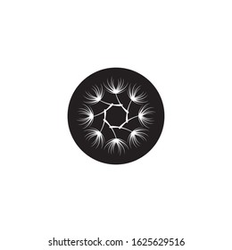 Vector illustration icon of Dandelion with white background