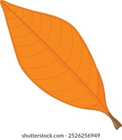 Vector illustration icon fallen leaves that are almost dry are suitable for autumn and for design and other purposes.