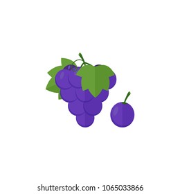 Vector illustration of icon grapes on white background, set including whole fruit and half, slice. Flat style vector illustration, isolated