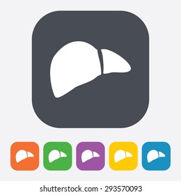 vector illustration of icon liver