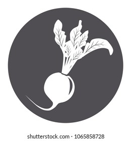 Vector illustration icon of a radish