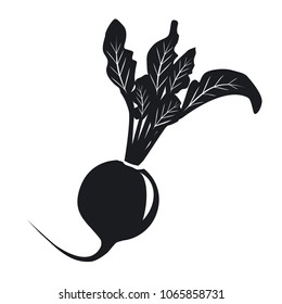 Vector illustration icon of a radish