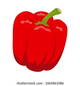 Vector illustration icon of a red pepper