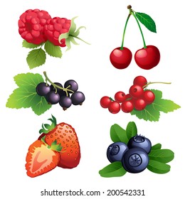 20,142 Berry bushes Stock Illustrations, Images & Vectors | Shutterstock