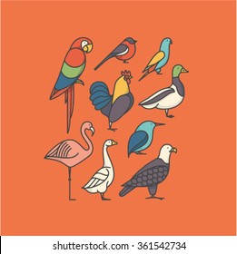 Vector illustration icon set of bird: macaw, bullfinch, parrot, rooster, duck, flamingo, goose, kingfisher, eagle