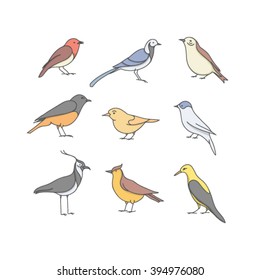 Vector illustration icon set of bird