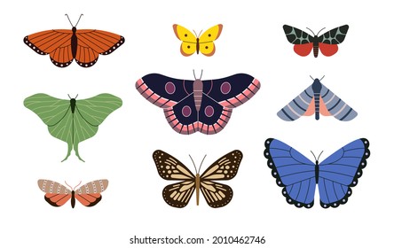Vector illustration icon set of butterfly. White background.