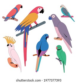 Vector illustration icon set of parrots. White background.