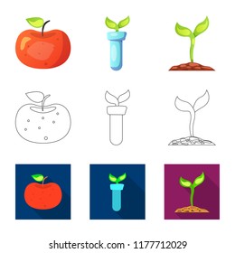 Vector illustration of  and  icon. Set of  and  stock vector illustration.