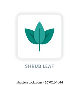 Icono de ilustración del vector, hoja de arbusto aislada en fondo blanco con estilo de diseño de icono plano
