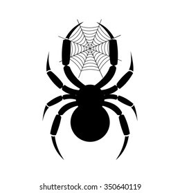 Vector illustration. Icon of spider, isolated over white background
