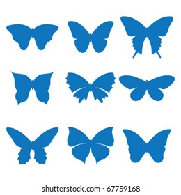 Vector illustration of the icons butterfly