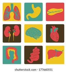 Vector illustration of icons of internal organs flat design