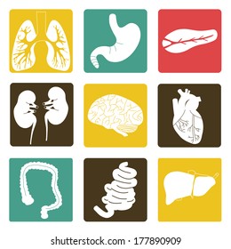 Vector illustration of icons of internal organs flat design