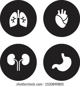 Vector illustration of ico...organs for infographic